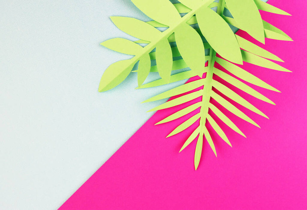 various tropical leaves on a pink and blue background, top view. exotic background with paper green leaves - Foto, imagen