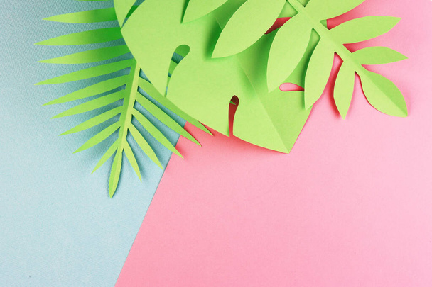 green leaves of exotic plants at the top of the page. blue and pink exotic background. summer background with palm leaves in pastel colors - 写真・画像