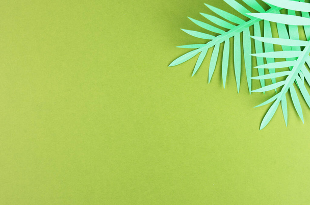 various tropical leaves on a yellow and green background, top view. exotic background with paper green leaves - Photo, Image