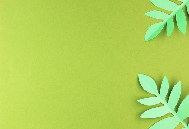 various tropical leaves on a green background, top view. exotic background with paper green leaves - Photo, Image