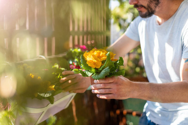 Νεαρός που φροντίζει τα φυτά του στο μπαλκόνι - Φωτογραφία, εικόνα