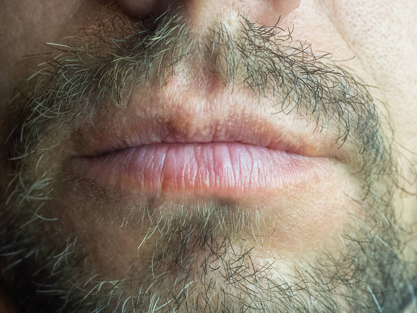 Foto de close-up da parte inferior dos lábios e barba do rosto masculino
 - Foto, Imagem
