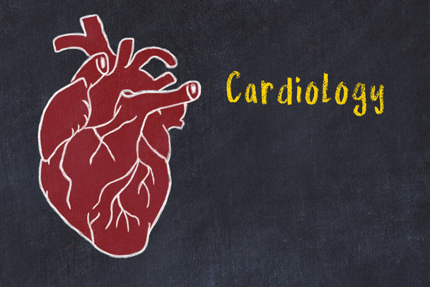 カーディオシステムの概念を学ぶ。心臓と碑文のチョーク図面心臓学 - 写真・画像