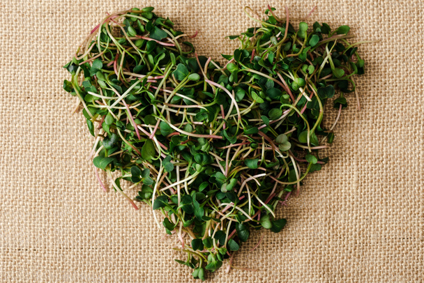 вид сверху на свежий микрозеленый упорядоченный сердцем на мешковине
 - Фото, изображение