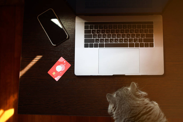 vista superior de un ordenador portátil con tarjeta de crédito, smartphone y gato
 - Foto, Imagen