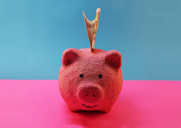 Piggy bank in the form of a pink pig, Russian money. - Photo, image