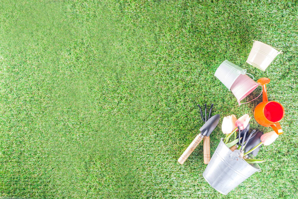Садовые инструменты и цветы на террасе и зеленая трава в саду, Концепция весеннего садоводства
 - Фото, изображение