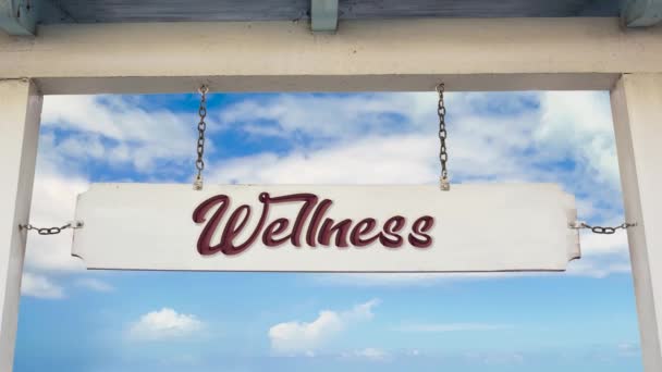 Street Sign the Way to Wellness - Footage, Video
