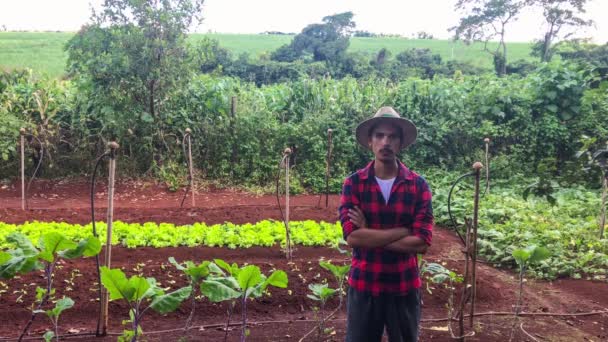 Salátaültetvényen kalapos mezőgazdasági termelő vagy dolgozó - Felvétel, videó