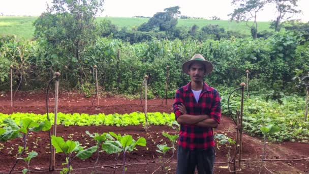 Rolnik lub pracownik z kapeluszem na plantacji sałaty - Materiał filmowy, wideo