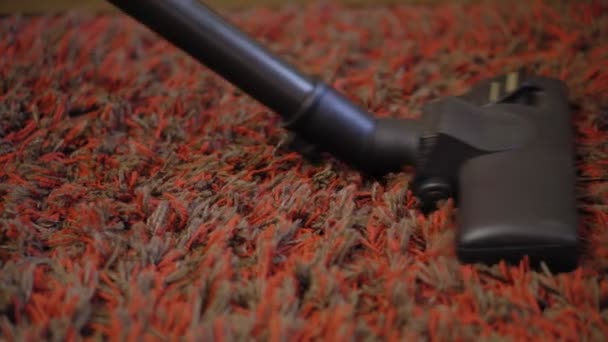 Quelqu'un nettoie le tapis avec un aspirateur
 - Séquence, vidéo