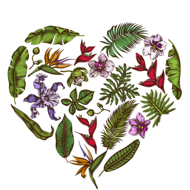 Heart floral design with colored monstera, banana palm leaves, strelitzia, heliconia, tropical palm leaves, orchid - Vector, Image