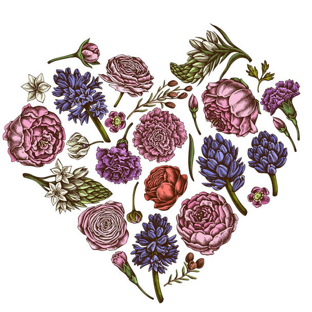 Hart bloemmotief met gekleurde pioen, anjer, ranunculus, was bloem, ornithogalum, hyacint - Vector, afbeelding