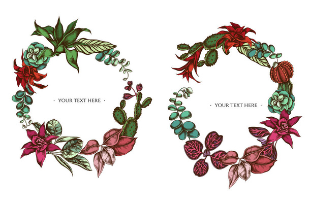 Květinový věnec z barevného fíkusu, iresinu, kalanchoe, calathea, guzmánie, kaktusu - Vektor, obrázek