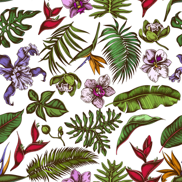Seamless pattern with hand drawn colored monstera, banana palm leaves, strelitzia, heliconia, tropical palm leaves, orchid - Vector, Image