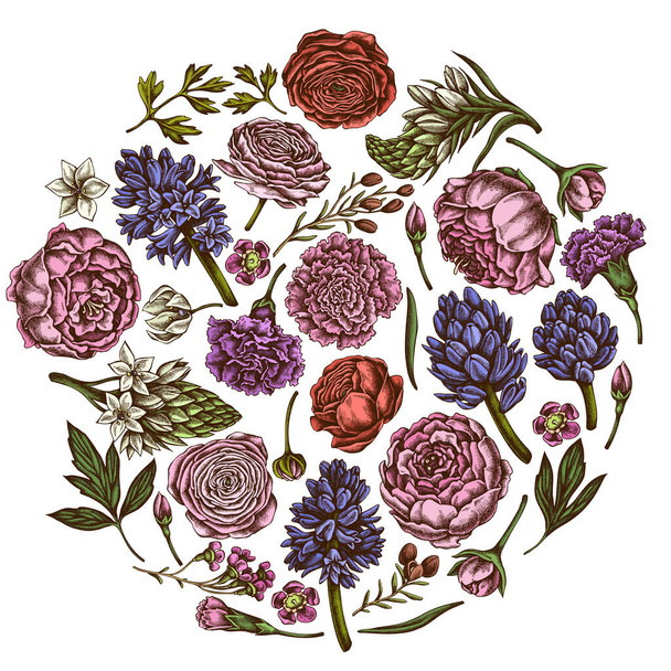 花色牡丹、カーネーション、ランヌクルス、ワックス花、オルニトガラム、ヒヤシンスと丸い花のデザイン - ベクター画像