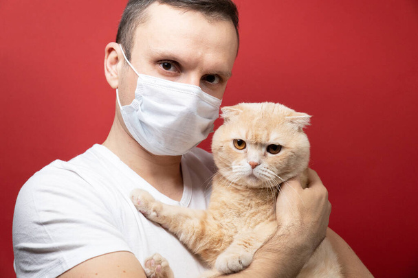 Man in protective face mask and cat wearing medical mask too. Chinese Coronavirus disease COVID-19 is dangerous for pets, Dangerous Pet Kissing concept - Foto, immagini