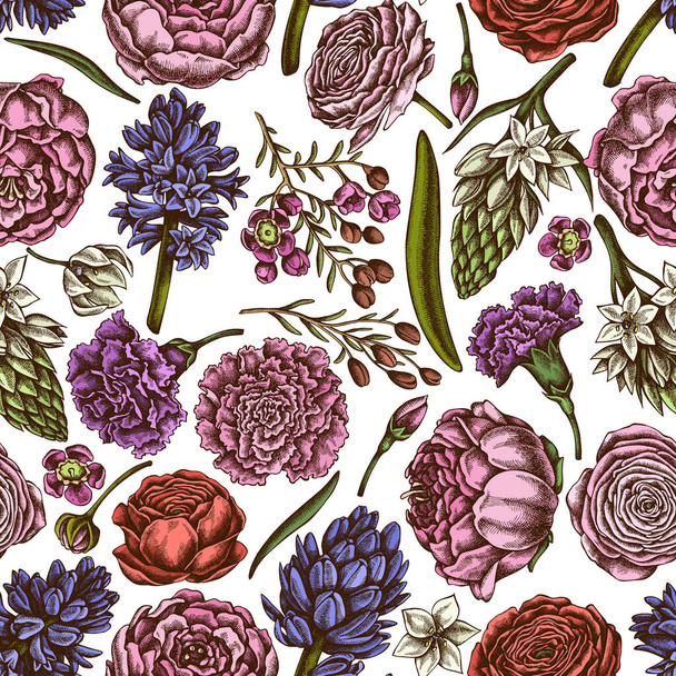 Seamless pattern with hand drawn colored peony, carnation, ranunculus, wax flower, ornithogalum, hyacinth - Vektör, Görsel