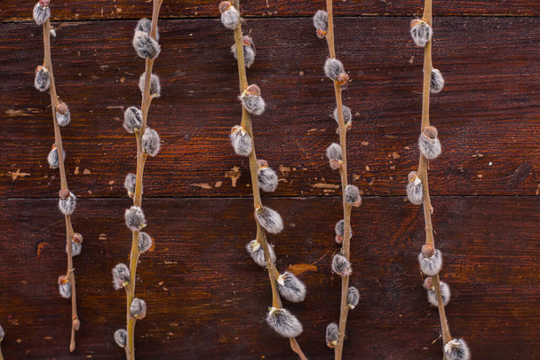 Salgueiro ramos em uma mesa de madeira fundo marrom
 - Foto, Imagem