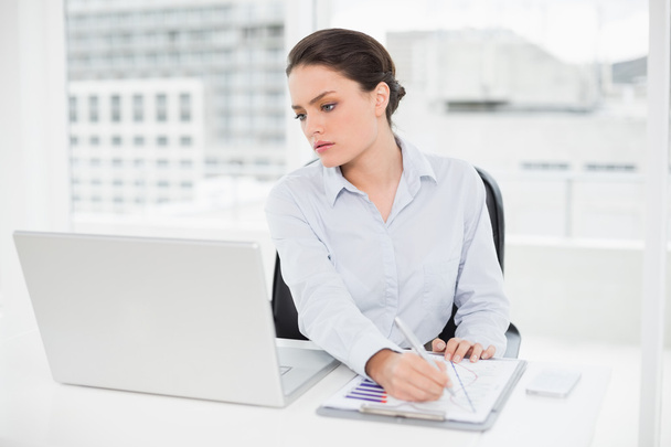 Businesswoman with graphs and laptop in office - Foto, Imagen