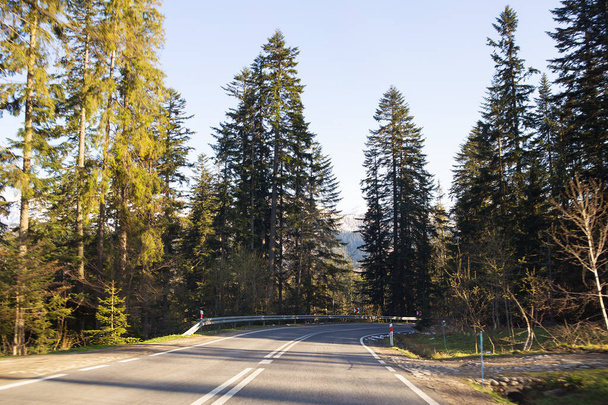 Travelling by car. The track in the mountains through the forest. Polish Tatras - Photo, image