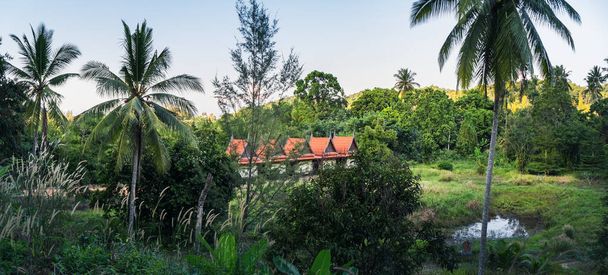 Ζώντας στην άγρια φύση. Μικρά σπίτια μπανγκαλόου με κόκκινη οροφή στην Ταϊλανδέζικη ζούγκλα, Koh Chang, Ταϊλάνδη. Πανοραμική ασιατική τοπίο εξοχή με Ταϊλάνδης ξύλινο εξοχικό σπίτι στο δάσος - Φωτογραφία, εικόνα
