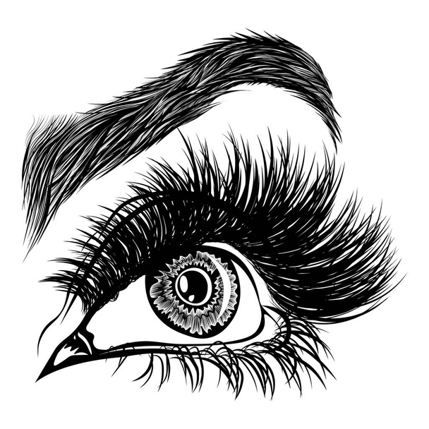 女性の目、まつ毛、眉のイラスト。メイクルック。タトゥーデザイン。眉バーやラッシュサロンのロゴ. - ベクター画像