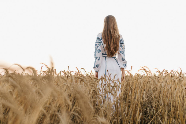 Ukrainian girl in a wheat field, view from the back - Zdjęcie, obraz