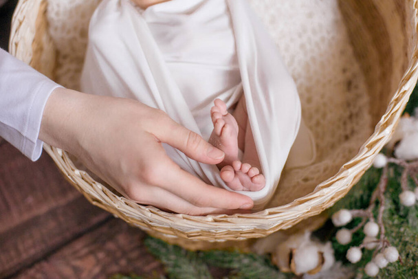 Mother's hands hold cute little baby legs in a white blanket in a wicker basket decorated with branches of conifers and cotton on a wooden floor. Happy motherhood - Photo, image