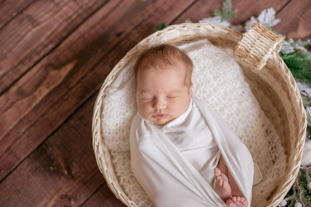 Little cute baby in a white blanket  in a wicker basket decorated with branches of needles and cotton on a wooden floor. Happy motherhood - Photo, Image