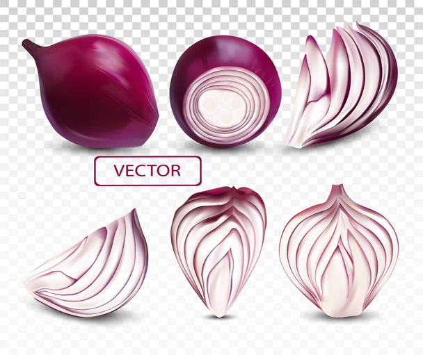 Collection fresh red onion close up.Sliced, half, piece onion on transparent background. 3D realistic vector illustration - Vector, Image