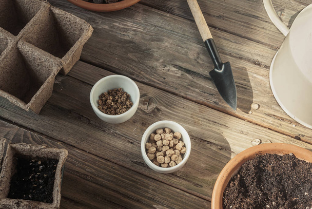 Piselli e semi di barbabietola in piccole ciotole rotonde circondate da attrezzi da giardino. Facciamo un giardino sul davanzale della finestra
 - Foto, immagini