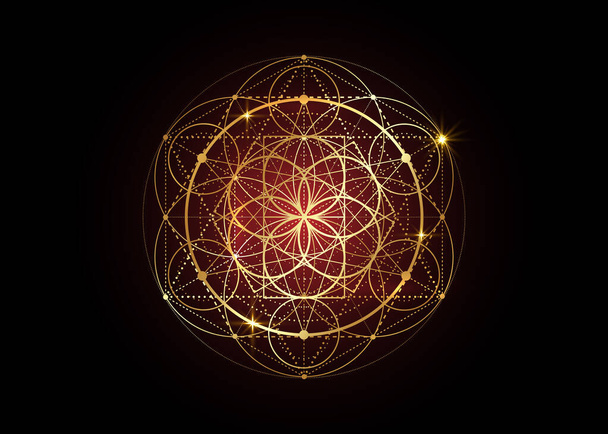 Semena života symbol posvátné geometrie. Geometrická mystická mandala alchymie esoterický květ života. Gold luxusní design, vektor božské meditační amulet izolované na černém pozadí - Vektor, obrázek