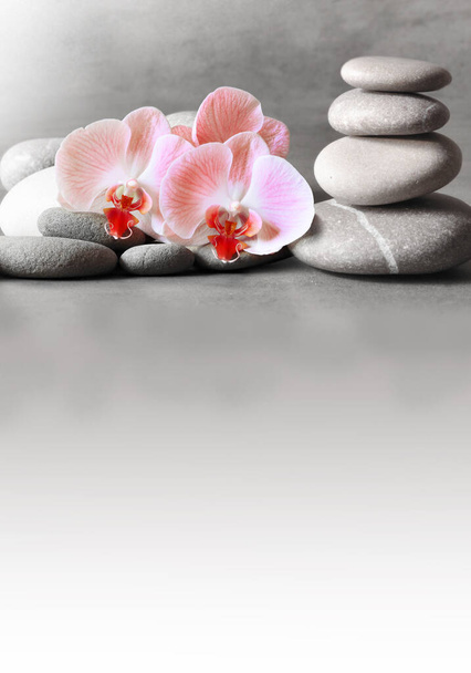 Spa stenen en roze orchidee op de grijze achtergrond. Spa-concept. - Foto, afbeelding