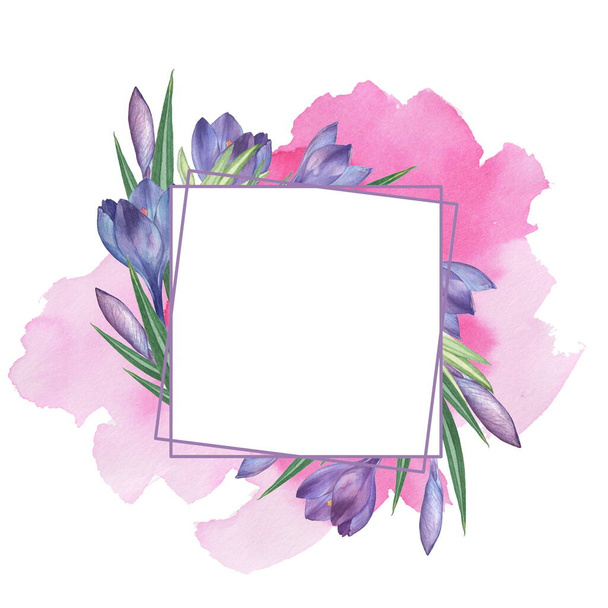 Crocus 12. Watercolor Floral frame. Watercolor illustration. Hand-drawing. Isolated on white - Foto, Imagem