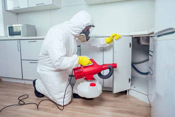 white worker spraying pesticide on induction hob - Фото, зображення