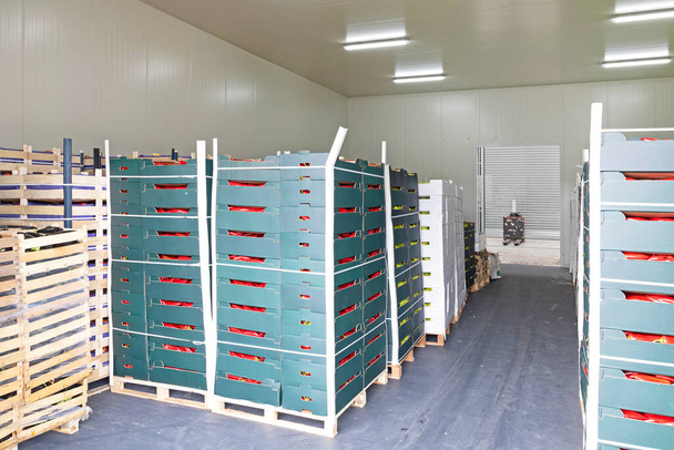 Crates of Produce at Pallets in Storage Warehouse - Photo, Image