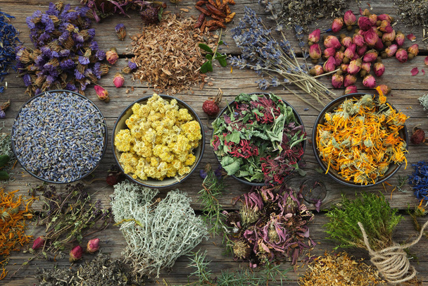 Bowls of dry medicinal herbs - lavender, coneflower, marigold, rose, Helichrysum flowers, healthy moss and lichen. Healing herbs assortment on wooden table. Top view. Herbal medicine.  - Foto, imagen