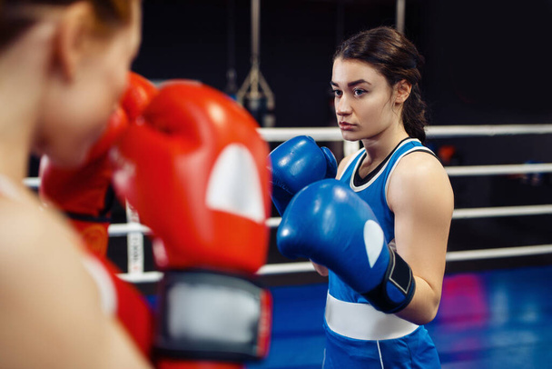 Women in gloves boxing on the ring, box workout. Female boxers in gym, kickboxing sparring partners in sport club, punches practice - Photo, Image