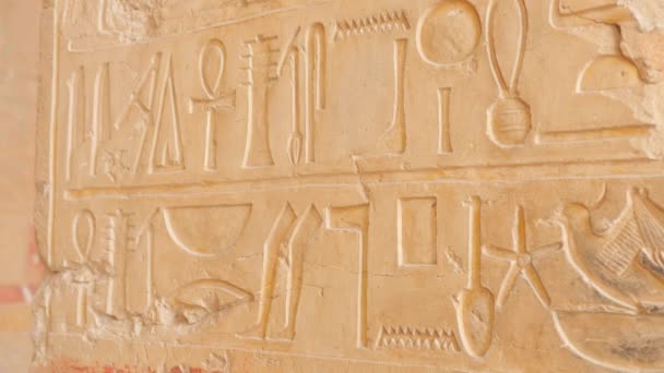 Hieroglify egipskie na kolumnie - Materiał filmowy, wideo