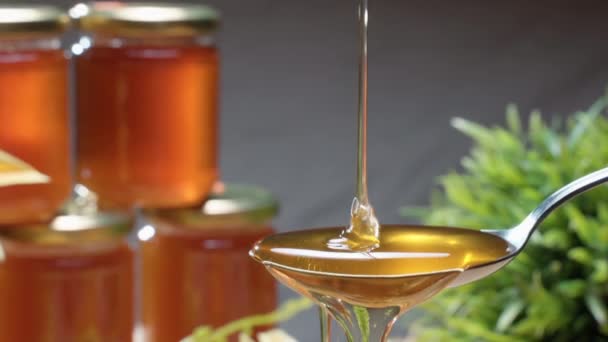 Golden honey flowing onto spoon and dropping down. Honey jars on grey background, light thick bee nectar dripping. Natural production of healthy ingredient - Footage, Video
