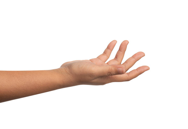 Fermer ouvrir la paume de la main isolée sur le fond blanc. La main droite d'une femme tendre la main pour soutenir quelque chose
. - Photo, image