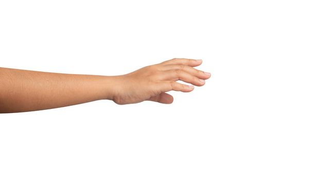 Cerrar la mano derecha de las mujeres recogiendo algo aislado sobre un fondo blanco
.  - Foto, imagen