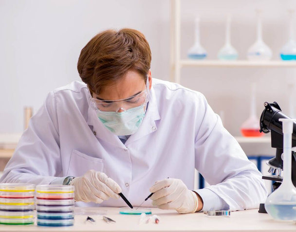 Молодой химик работает в лаборатории - Фото, изображение