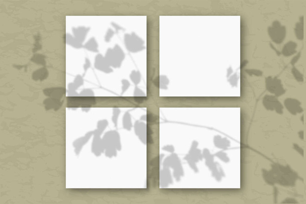 4 fogli quadrati di carta bianca strutturata su un muro di ulivo pastello. Mockup con una sovrapposizione di ombre vegetali. La luce naturale proietta ombre dalle cime di piante e fiori da campo
. - Foto, immagini