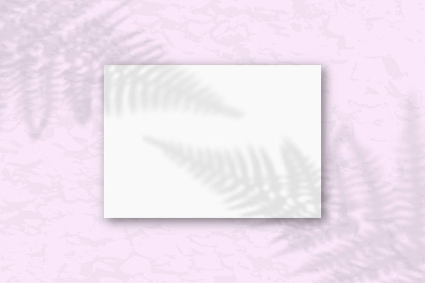 3 folhas quadradas de papel texturizado branco no fundo da parede g. Mockup com uma sobreposição de sombras de fábrica. A luz natural lança sombras das folhas da samambaia. Deitado plano, vista superior
 - Foto, Imagem