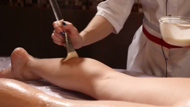 Cosmetic procedure in spa beauty salon, skin care therapy. Close-up shot of beautician applying with brush body oil on female legs. Relaxing atmosphere. Brushing with clay. Anti-cellulite actions - Footage, Video