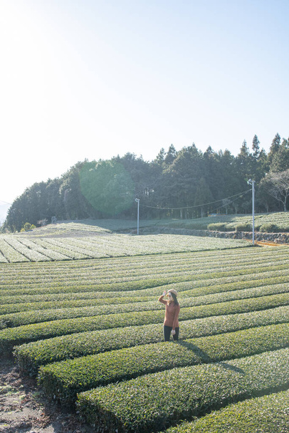 Ritratto ragazza sulla fattoria Tea trees con vista Fuji Mountian a Fujinomiya, Shizuoka. Shizuoka è uno dei migliori naturali sul tè del mondo
. - Foto, immagini