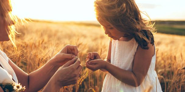 blank moeder en haar meisje houden een aantal tarwe zaden in een veld tijdens een zonsondergang - Foto, afbeelding