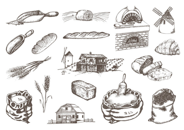 Graphic illustrations of miller stuff in vector. Hand drawn set of bakery and pastry goods in engraving style. - Vektör, Görsel